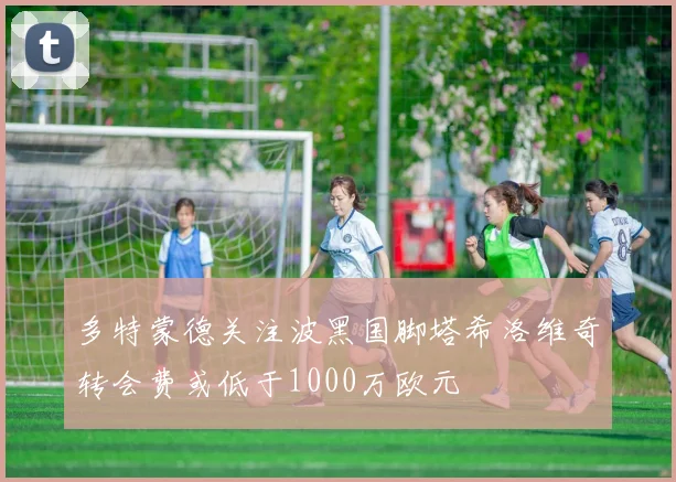 多特蒙德关注波黑国脚塔希洛维奇转会费或低于1000万欧元